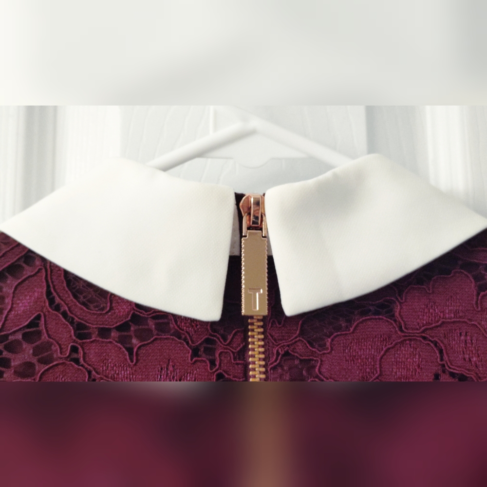 Ted Baker Burgundy Lace Dress with White Collar - Picture 3 of 11